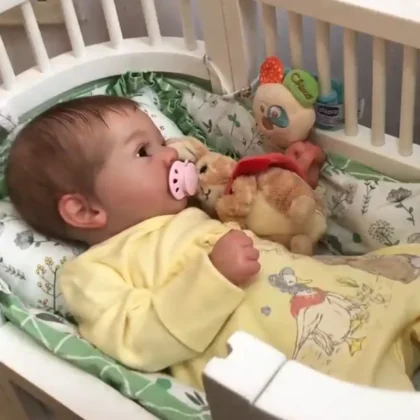 👍𝑻𝑶𝑷 𝑹𝑬𝑪𝑶𝑴𝑴𝑬𝑵𝑫🔥17'' Wanisa Realistic Cute Reborn Baby Dolls